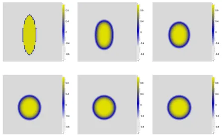 Figure 1. Evolution of an ellipse at time 0.0, 0.05, 0.10, 0.15, 0.20, 0.25