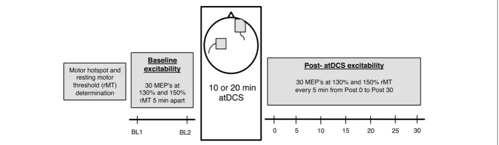 FIGURE 1 | The experimental design. Firstly, for each participant, motorhotspot and resting motor threshold (rMT) was determined, after which baselinecorticospinal excitability (CSE) was measured (two blocks, 5 min apart).Following this, 10 or 20 min anodal transcranial direct current stimulation