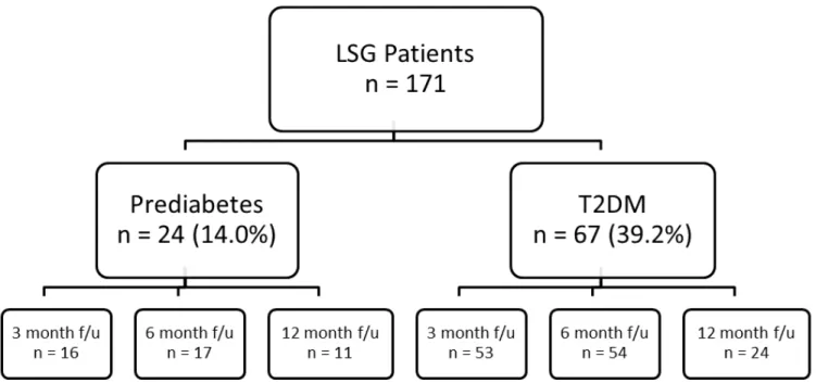 Figure 4.1. Patients who had undergone LSG by the end of September 2013 divided into prediabetes and T2DM cohorts  and their attendance of follow-up appointments