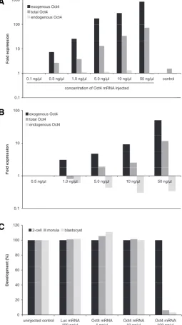 Fig. 2. Effect of mRNA injection in fertilized mouse pre-implantationembryos.injected with a concentration of 0.5 ng/oocytes injected with a concentration of 0.1 ng/FLAG-Oct4 mRNA at the zygote stage