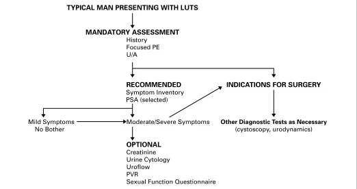 Fig. 1. Diagnostic algorithm. LUTS = lower urinary tract symptoms; PE = physical examination; U/A = urinalysis; PSA = prostate-specific antigen; PVR = post-void residual.