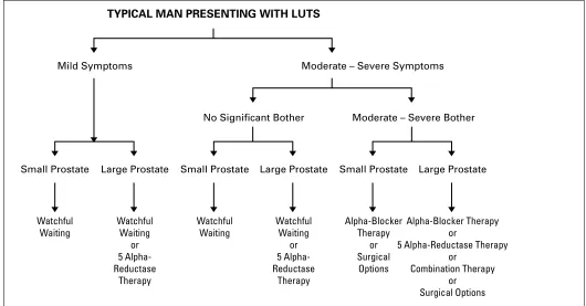 Fig. 2. Therapeutic algorithm. LUTS = lower urinary tract symptoms.