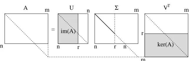 Figure 3. Visual sketch of the factorization (6), revealing the nullspace kerrows in the gray part of matrixpart of matrix A (spanned by the V ⊤) and the range imA (spanned by the columns in the gray U); the main diagonal of each matrix is shown as a guide to visualize the matrixsize; the bold part of the main diagonal of Σ contains the only non-null entries of such a matrix.