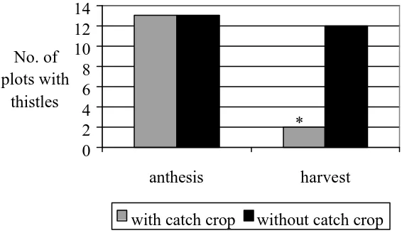 Figure 2. Number of plots with thistles at anthesis and after harvest in Flakkebjerg 1998