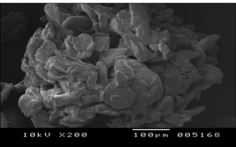 Fig. 28: Differential scanning calorimetry of polymer guar gum