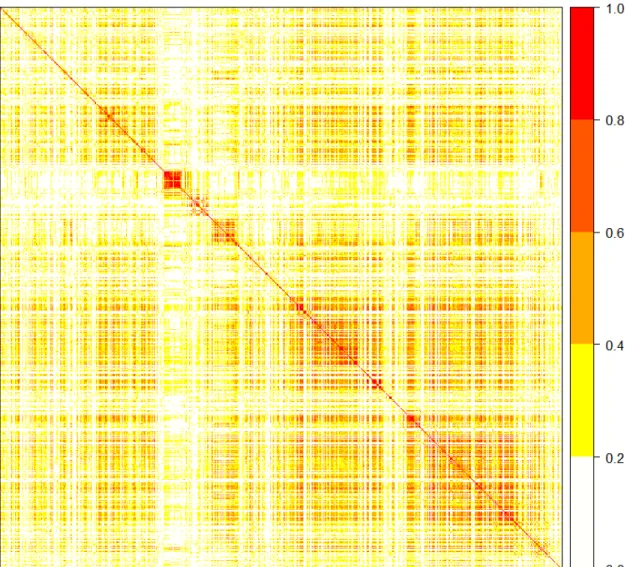 Figure 6.1: Graphical display of the correlation matrix between the 1232 SNPs in the data application.