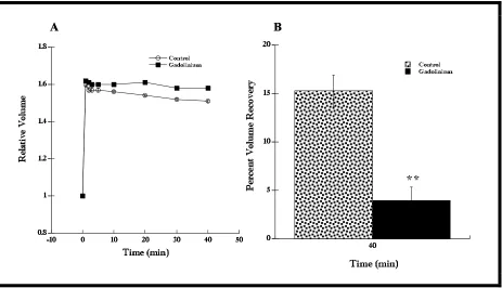 Figure 5. RVD response of cells in 1000 nM free calcium EGTA Ringer was inhibited compared to the control