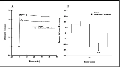 Figure 8. RVD response of cells in hypotonic Ringer with hexokinase (5 Units/mL), an ATP scavenger, was diminished compared to control cells