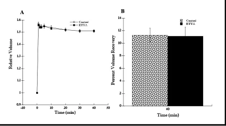 Figure 12. RVD response of cells in hypotonic Ringer with ETYA (10 µhypotonic Ringer with ETYA added recovered the same as control cells (n = 6, t = 40 min)