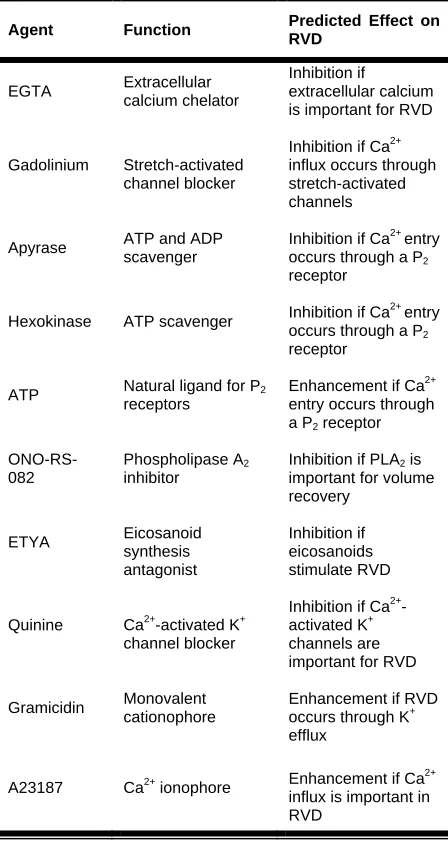 Table 1. Pharmacological agents used cell volume measurement studies, their function, and predicted effects on RVD