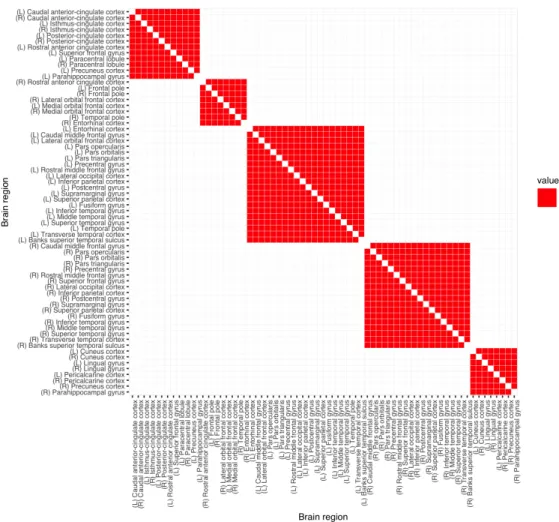 Figure 10: Adjacency matrix of modularity graph connectivity information, derived from the connectivity of the brain cortical regions (Sporns, 2013; Cole et al., 2014; Sporns and Betzel, 2016)