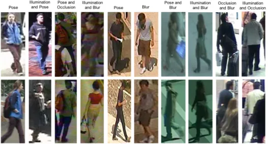 Figure 1.2: Example images from Re-ID data sets [6–8, 57, 59, 70, 117, 125, 225, 226].