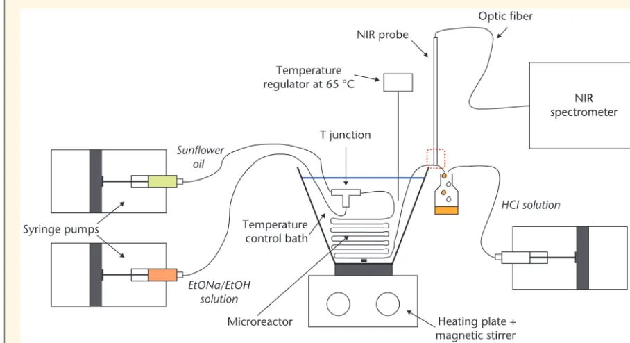 Figure 2. Experimental set-up of the transesteriﬁcation reaction carried out in a microreactor.