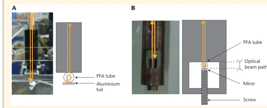 Figure 3. Pictures and schemes of the A) reﬂection probe and B) transﬂectance probe.