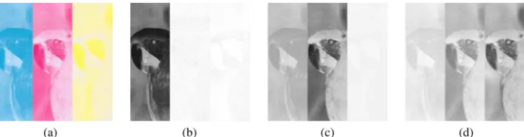 Fig. 1. Cross-channel interference from CMY colorants in RGB scanner channels. (a) CMY striped print
