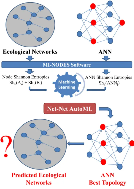 Figure 1.  General workflow of the Net-Net AutoML methodology.