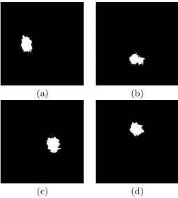Figure 7: Segmented Secure Pattern
