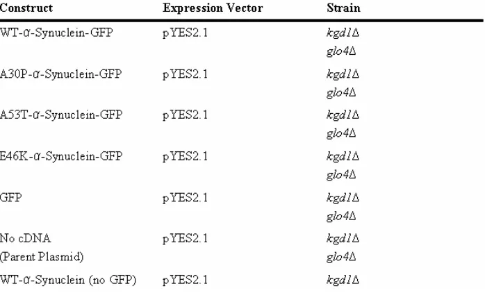 Table 1. List of Transformed Budding Yeast Strains for Chapter 1 