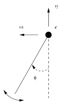 Fig. 5. Model of thigh for temporal evidence gathering.