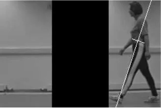 Fig. 9. Example of occluded image.