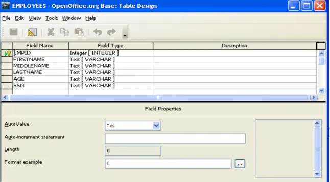 Illustration 1: EMPLOYEES Table Design