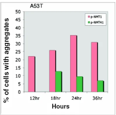 Figure 2B. Comparison of moderate to high expression of quantified A53T α-synuclein aggregation