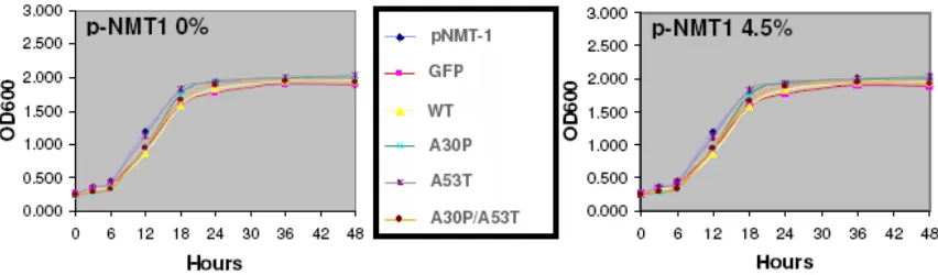 Figure 6. Growth Curve Analysis on αααα-Synuclein Expressing cells Exposed to DMSO (2nd Trial): OD600 measurements over 48 hours were obtained for cells that express α-synuclein in high concentration
