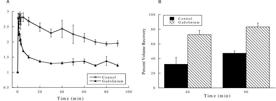 Figure 4.  at 40 min (Cells failed to regulate their volume in the absence of extracellular Ca2+