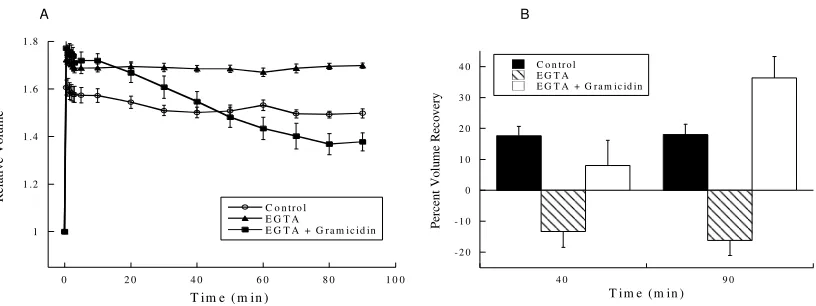 Figure 9.  Gadolinium inhibited regulatory volume decrease of alligator red blood cells