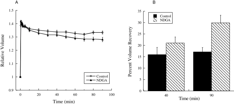 Figure 16.  DHAP attenuated percent volume recovery of alligator cells.  (A)  There was no significant difference in the final volume of control cells and DHAP-treated cells