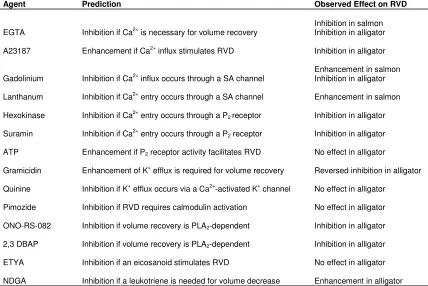 Table 2.  Pharmacological agents used in cell volume studies, my predictions as to their effects, and the experimental outcomes 