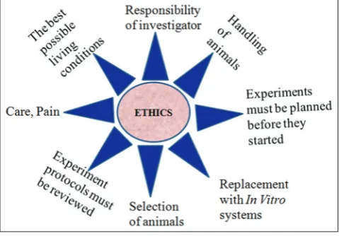 Fig. 2: Drug product performance and generic drug product development
