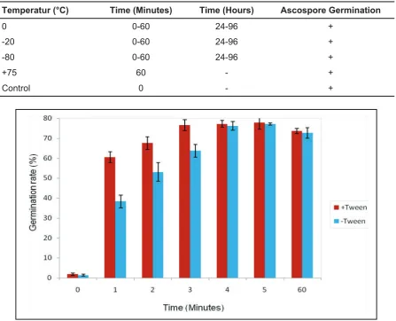 Table 4: Presence of ascospore germination following exposure to cold temperatures        of -80, -20, 0 °C, exposure to +75 °C for 60 minutes, a control without treatment and time per treatment