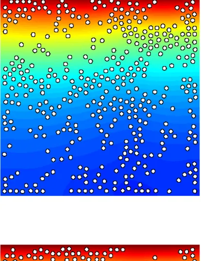 Figure 6. Full model. Oxygen distribution and position of 400 bacteria at diﬀerent time stepsin a square domain (Exp