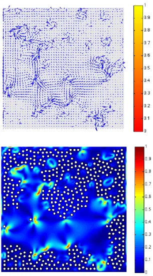 Figure 7. Full model. Streamlines (t) and norm of the velocity ﬂuid (b) in a Stokes ﬂow with400 bacteria after 2000 time steps (Exp
