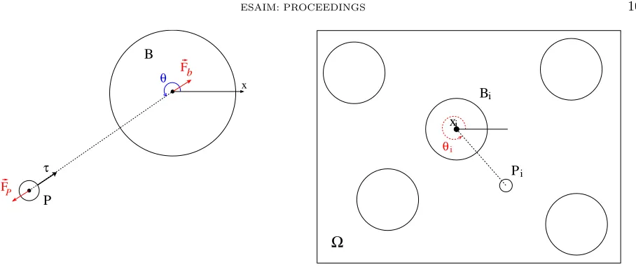 Figure 1. Left: single bacterium, right: whole domain with inclusions