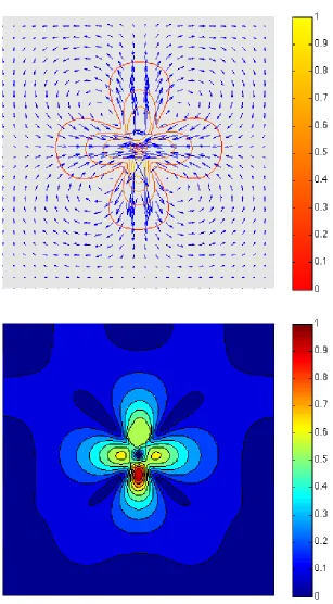 Figure 2. Full model.with one bacteria ( Streamlines (t) and norm (b) of the velocity ﬁeld in a square domainExp