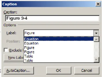 Figure 6-6  Caption Options  3.  Click OK. 