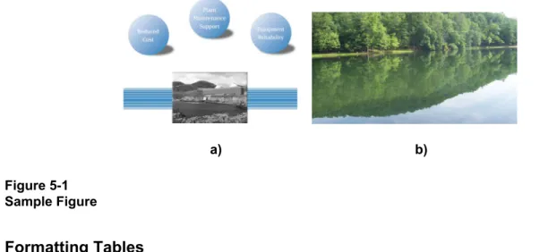 Figure 5-1  Sample Figure 