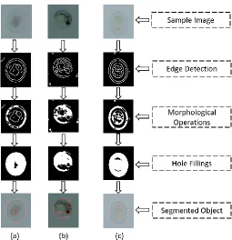 Figure 2: Scanner images of three classes :(a) Live egg. (b) Live embryo. (c)Dead (a)                                 (b)                                  (c) egg 
