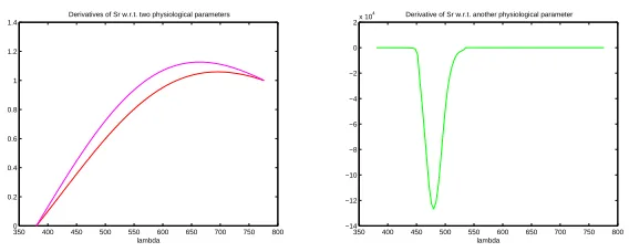 Figure 5. Derivatives of Sr(λ) w.r.t. various physiological parameters