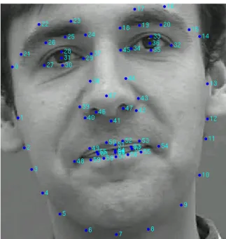 Figure 2.16: Sample Landmarks (TalkingFaceVideo, 2002)