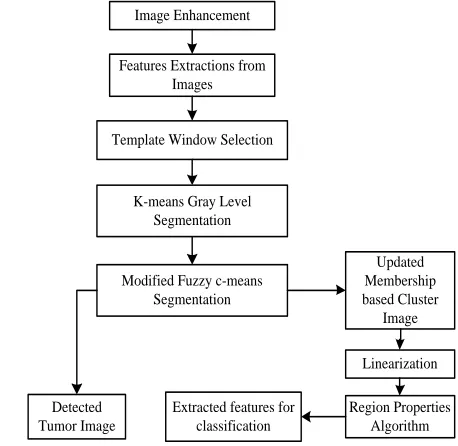 Figure 2: Methodology steps for proposed TKFCM algorithm in tumor detection 