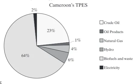 Figure 4. Cameroon Primary Energy Sources
