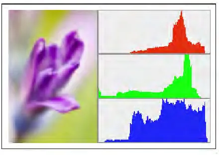Figure 3 Common Histogram 