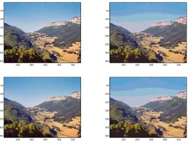 Figure 3. Top: Original image (left); Unregularized classiﬁed image (with an optimal choiceof classes) (right).Bottom: Smooth image provided by the topological gradient algorithm(left); Classiﬁcation of this smooth image (right).