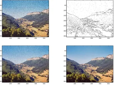 Figure 2. Top: Noisy image (left); Identiﬁed edges by the topological gradient algorithm(right)