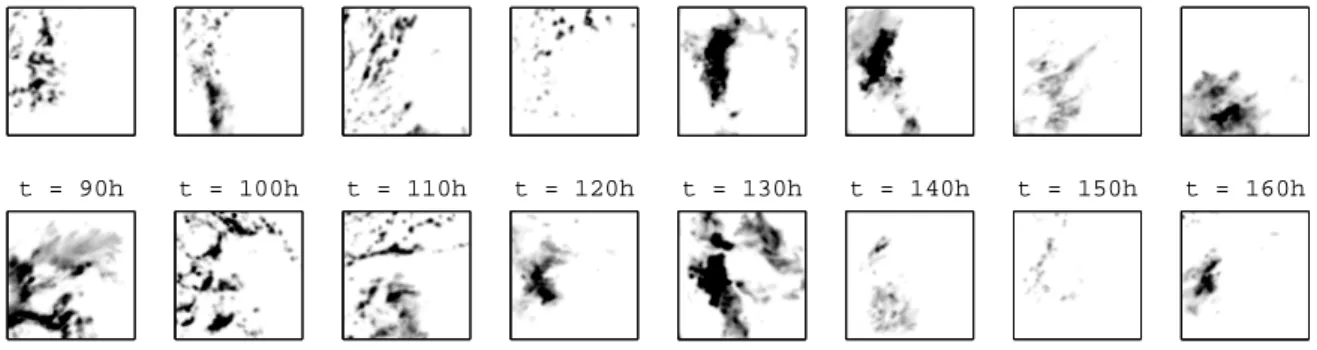 Fig. 16. Evolution of the rainfall field during the frontal event (January 2005, 10h snapshots).