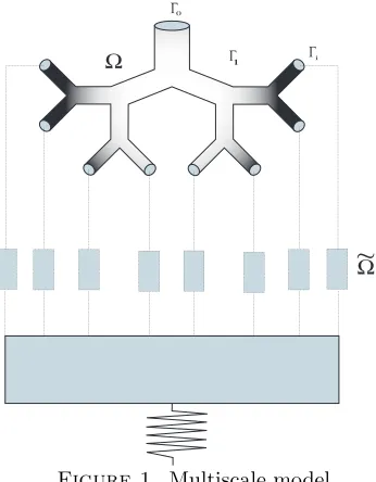 Figure 1. Multiscale model