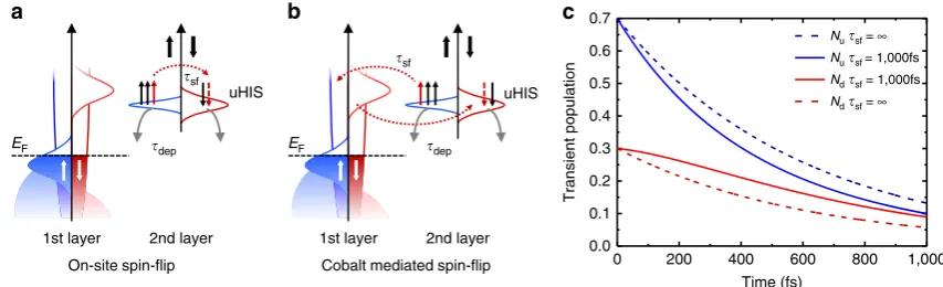 Figure 7 | Schematic representation of dynamical spin ﬁltering at the Co/Alq3depopulation (telastic spin-ﬂip scattering, mediated by either spin-orbit coupling or hyperﬁne interaction on the uHIS; or (Co substrate